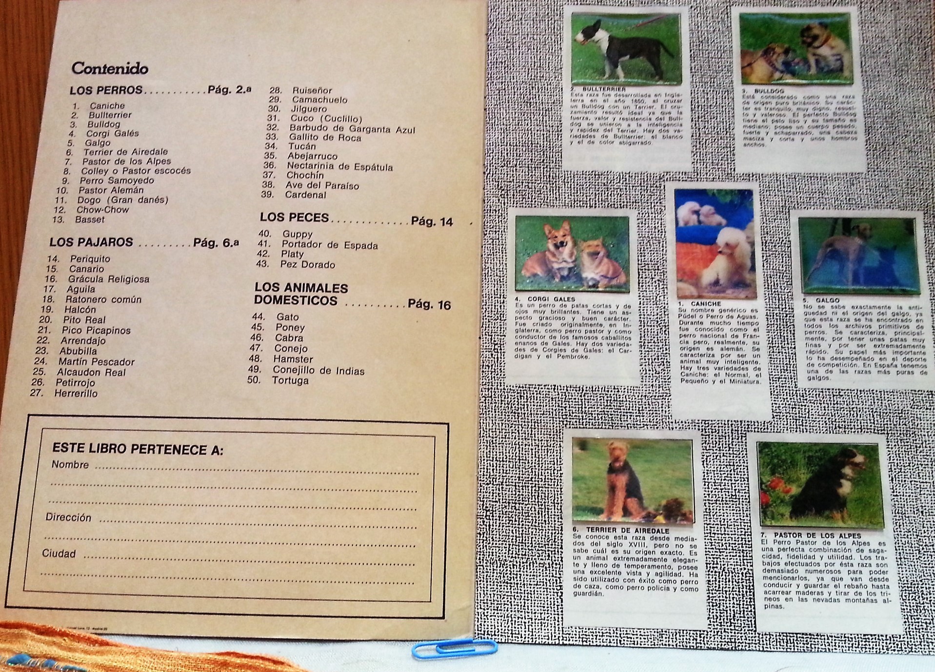 album-de-cromos-animales-incompleto-anos-70-1.jpg