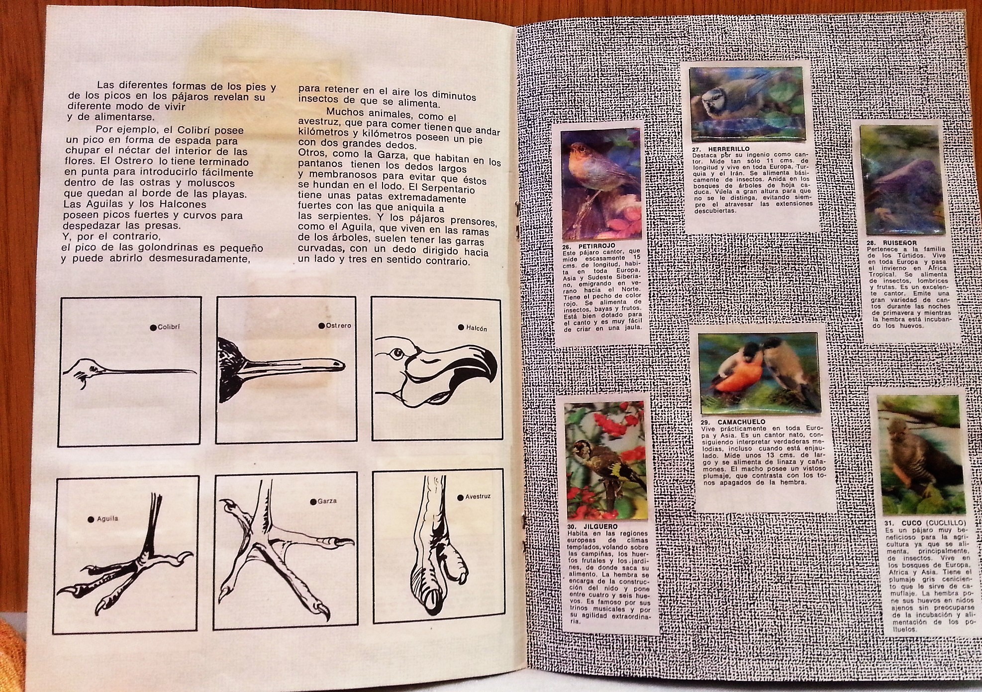 album-de-cromos-animales-incompleto-anos-70-2.jpg